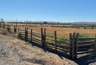 Pasture