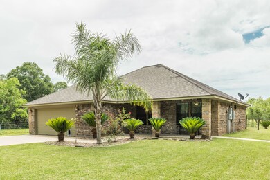 6333 Fm 521 Rd, Brazoria, TX 77422 - photo 4