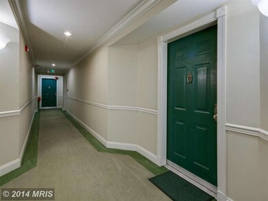 4500 Chaucer Way unit 103, Owings Mills, MD 21117 - photo 6