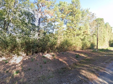 0 Charlotte St unit Huntsville TX 77320, Huntsville, TX 77320 - photo 6