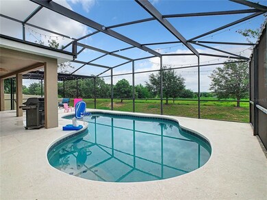 Solar heated pool
