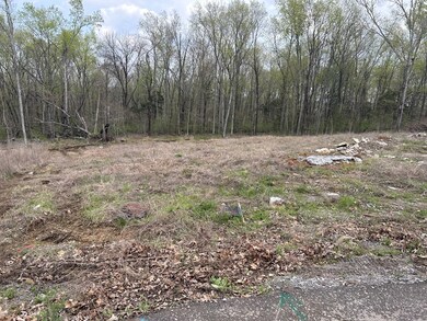 0 Hilltop Rd unit RTC2640699, Shelbyville, TN 37160 - photo 3