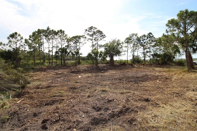 20 George Vause Rd, Alligator Point, FL 32346 - photo 4