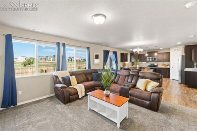7831 Berwyn Loop, Peyton, CO 80831 - photo 5