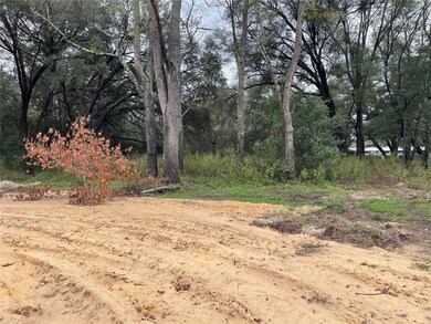 20024 Beach Blvd, Dunnellon, FL 34431 - photo 7