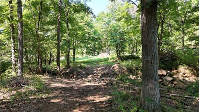 19.7 Acres Arkansas 156, West Fork, AR 72774 - photo 7