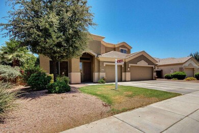 Canyon Oak-2