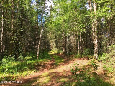 Path to University Lake