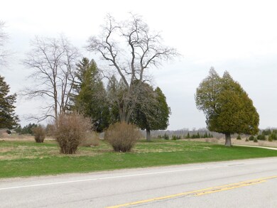 Road View
