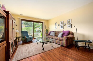 105 S Arlington Ave unit 104, Elmhurst, IL 60126 - photo 3