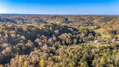 4923 Blue Creek Rd, Lynnville, TN 38472 - photo 3