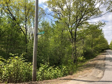 TM12 L29 Blanchard Cross Rd, Bowdoin, ME 04287 - photo 2