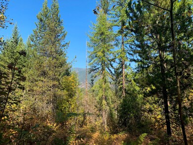 Nhn Whitepine Ln, Trout Creek, MT 59874 - photo 6