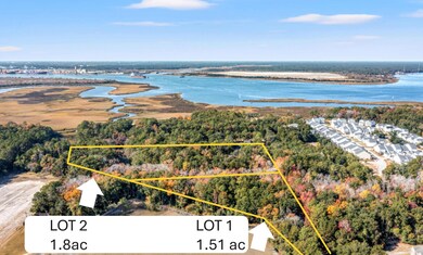 0 Yellow House Lot 1 Place unit 25031111, Charleston, SC 29492 - photo 4