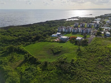 0 Lolita Natal unit MFRPR9115129, Manati, PR 00674 - photo 2