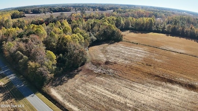 294 James Price Rd, Seven Springs, NC 28578 - photo 5