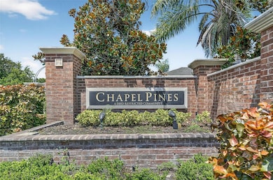 6510 Tabogi Trail, Wesley Chapel, FL 33545 - photo 2