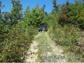 Jeep road to top
