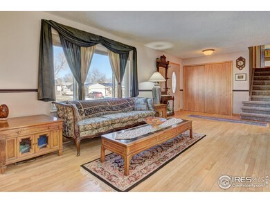 11523 Garfield Way, Thornton, CO 80233 - photo 5