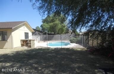 back yard