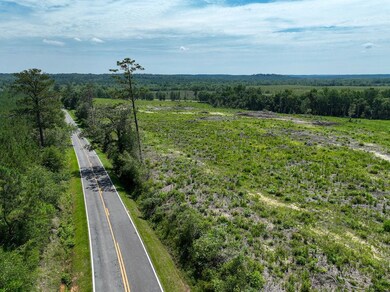 0 Long Branch Rd unit 25649021, Toomsboro, GA 31090 - photo 2