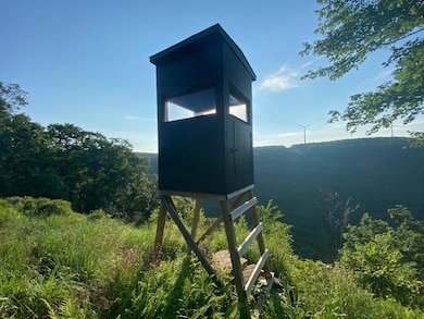 0 Fire Tower Rd unit 11493625, Tunkhannock, PA 18657 - photo 3