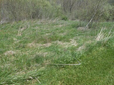 unlisted-address, Brookville, IN 47030 - photo 6