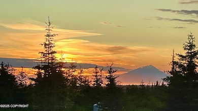 68062 Jolly Ave, Anchor Point, AK 99556 - photo 3