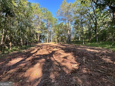 119 Hough Johnson Rd, Haddock, GA 31033 - photo 4