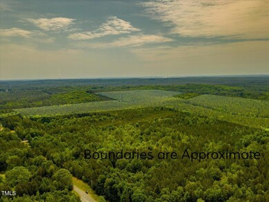 0 Alston Chapel Rd unit 10002080, Pittsboro, NC 27312 - photo 4