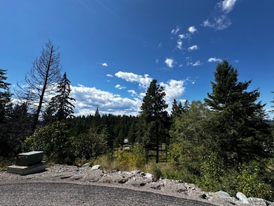 56 Bridle Ct, Bigfork, MT 59911 - photo 3