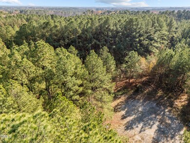 1001 Arvin Rd, Durham, NC 27704 - photo 4