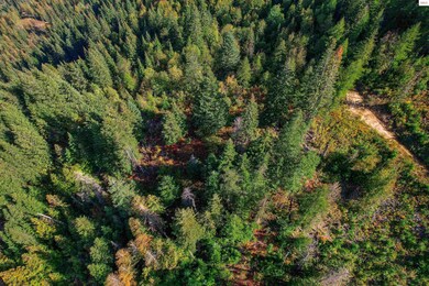 NKA Bodie Canyon Rd, Priest River, ID 83856 - photo 6