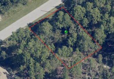 816 W Smallman Place, Citrus Springs, FL 34434 - photo 2