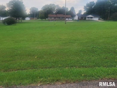 000 Eric Ln, McLeansboro, IL 62859 - photo 3