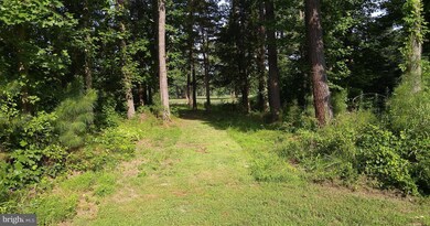 26548 North Anna Dr, Ruther Glen, VA 22546 - photo 3