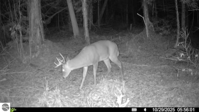 VL S 27 Rd, Hoxeyville, MI 49601 - photo 7