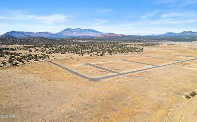 6638 Meadows Ln, Flagstaff, AZ 86004 - photo 7
