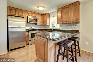 13202 Lantern Hill Ct, Silver Spring, MD 20906 - photo 7