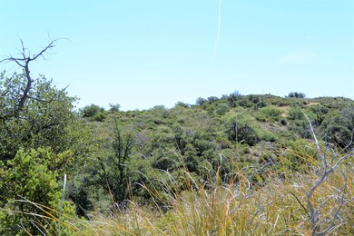DSC_2359 (3)