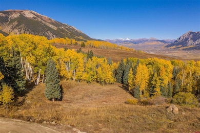 794 Red Mountain Ranch Lower Loop, Crested Butte, CO 81224 - photo 2