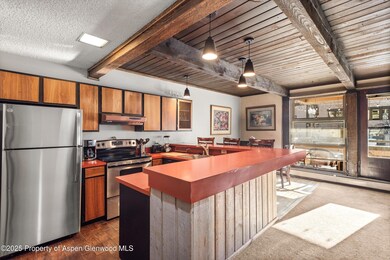 600 E Main St unit 207, Aspen, CO 81611 - photo 6