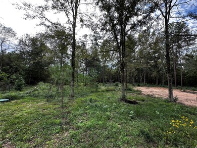 27102 Springwood Dr, Magnolia, TX 77354 - photo 7