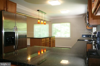 5571 Thunder Hill Rd, Columbia, MD 21045 - photo 6