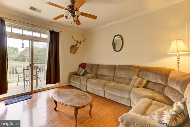 6163 Willow Place unit 104, Bealeton, VA 22712 - photo 3