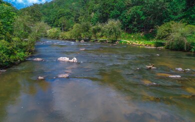 Additional View