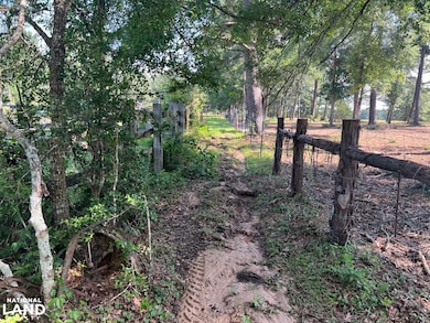 0 Cr 446 unit 22215070, Navasota, TX 77868 - photo 3