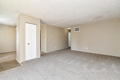 RN5_0927a