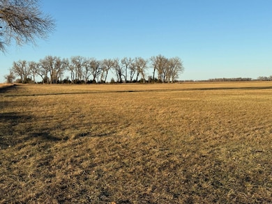80 +/- Acres Holt County, Stuart, NE 68780 - photo 5