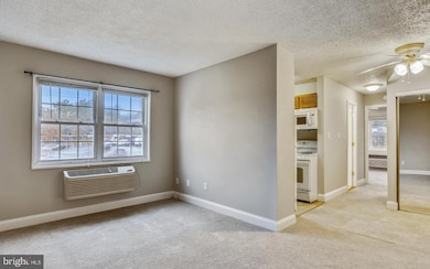 2305 Farrington Ave unit 303, Alexandria, VA 22303 - photo 5